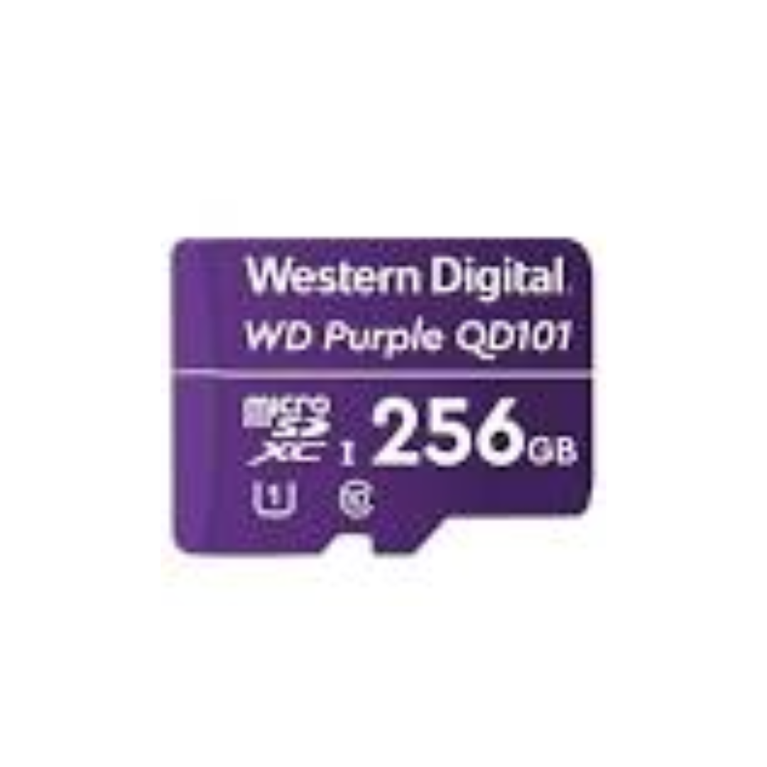 CARTAO DE MEMORIA PURPLE 256G 128TBW