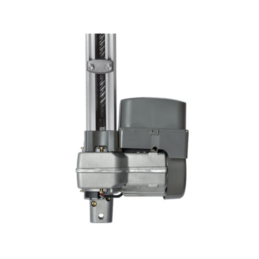 CJ BV LEVANTE ANA (AGILITY POP) 1,50MT (II) 127V